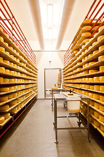 Schlüsselfertige Kässerei von Plattenhardt+Wirth GmbH. Der Edelstahltisch in einem Reiferaum mit integrierter Lüftung und Klimatik dient zur Reifung des Käses. In den Regalen Links und Rechts liegen etliche Käseräder zur Reifung.